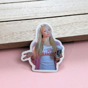 5 for $10 or 12 for $20 Mean Girls Stickers